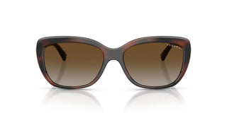 Vogue VO 5678SB women Havana Butterfly Sunglasses