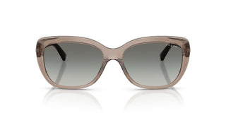 Vogue VO 5678SB women Brown Butterfly Sunglasses