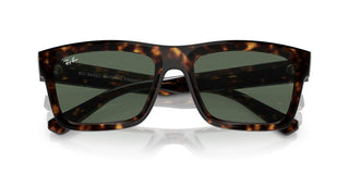 Ray-ban Warren Rb 4396 Unisex Havana Geometric Sunglasses