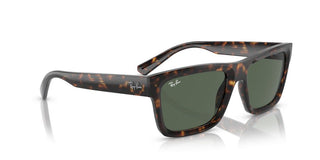 Ray-ban Warren Rb 4396 Unisex Havana Geometric Sunglasses