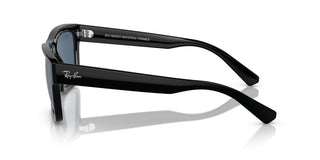 Ray-ban Warren Rb 4396 Unisex Black Geometric Sunglasses