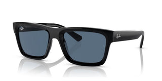 Ray-ban Warren Rb 4396 Unisex Black Geometric Sunglasses