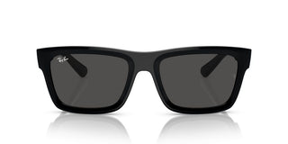 Ray-ban Warren Rb 4396 Unisex Black Geometric Sunglasses
