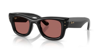 Ray-Ban WAYFARER PUFFER BY A$AP ROCKY RB 4940 unisex Black Sunglasses