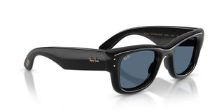 Ray-Ban WAYFARER PUFFER BY A$AP ROCKY RB 4940 unisex Black Sunglasses