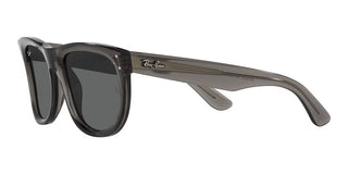 Ray-Ban WAYFARER REVERSE R0502S unisex Grey Squared Sunglasses